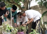 Wawako Pekanbaru Launching Penanaman Pohon di SMPN 44 Rumbai, Dorong Green City dari Sekolah