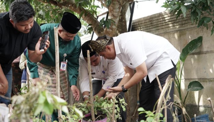 Wawako Pekanbaru Launching Penanaman Pohon di SMPN 44 Rumbai, Dorong Green City dari Sekolah
