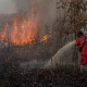 Karhutla Mengintai, 100 Hotspot Terpantau di Riau, Tertinggi di Sumatera