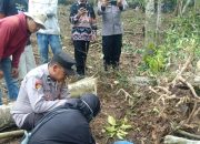 Tertimpa Pohon Saat Bekerja di Kebun, Warga Sumberejo Tewas